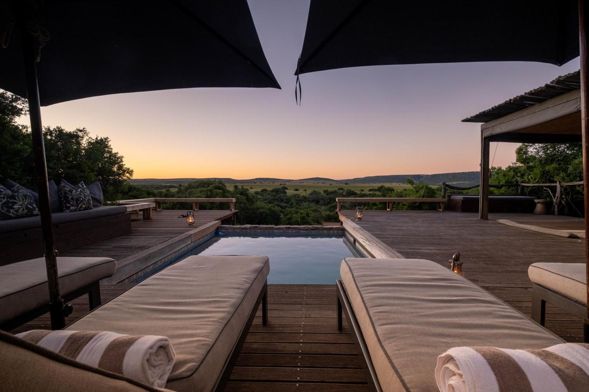 Hillsnek Safari Camp - Amakhala Game Reserve Luaran gambar