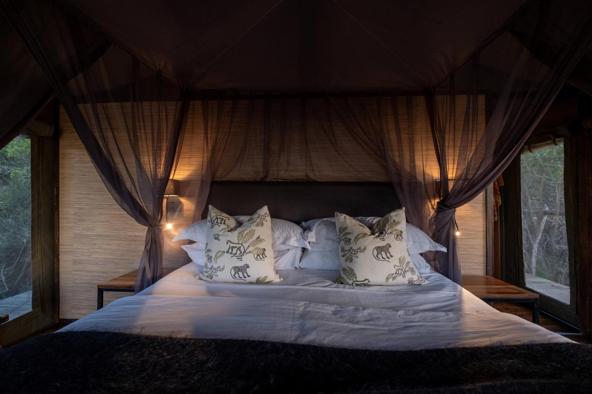 Hillsnek Safari Camp - Amakhala Game Reserve Luaran gambar