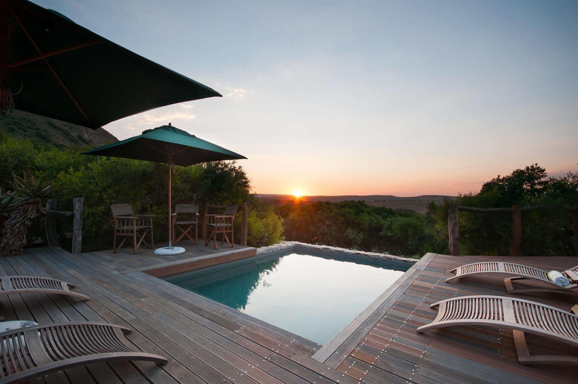 Hillsnek Safari Camp - Amakhala Game Reserve Luaran gambar
