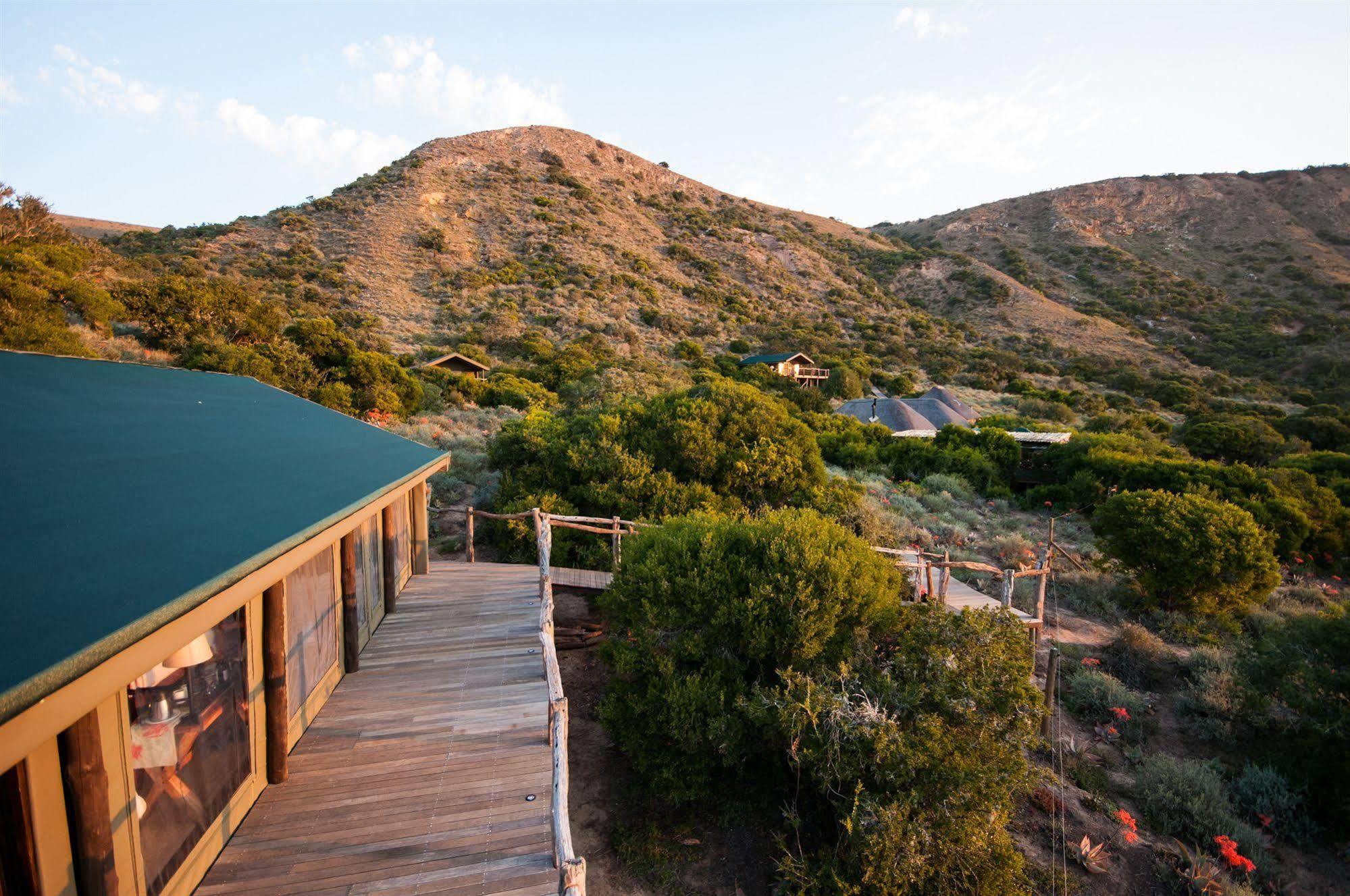 Hillsnek Safari Camp - Amakhala Game Reserve Luaran gambar
