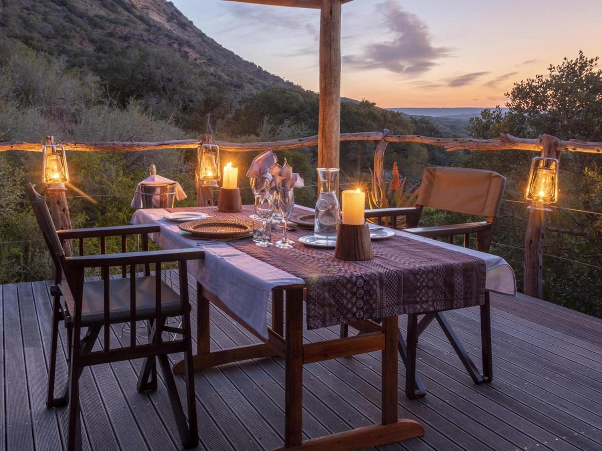 Hillsnek Safari Camp - Amakhala Game Reserve Luaran gambar